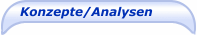 Konzepte/Analysen